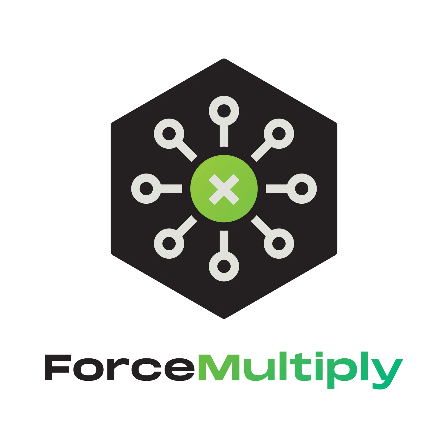 Forcemultiply Overview