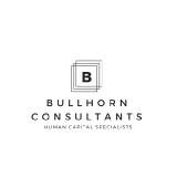 Bullhorn Consultants