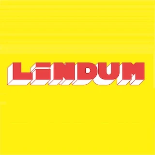 Lindum Group Ltd Overview